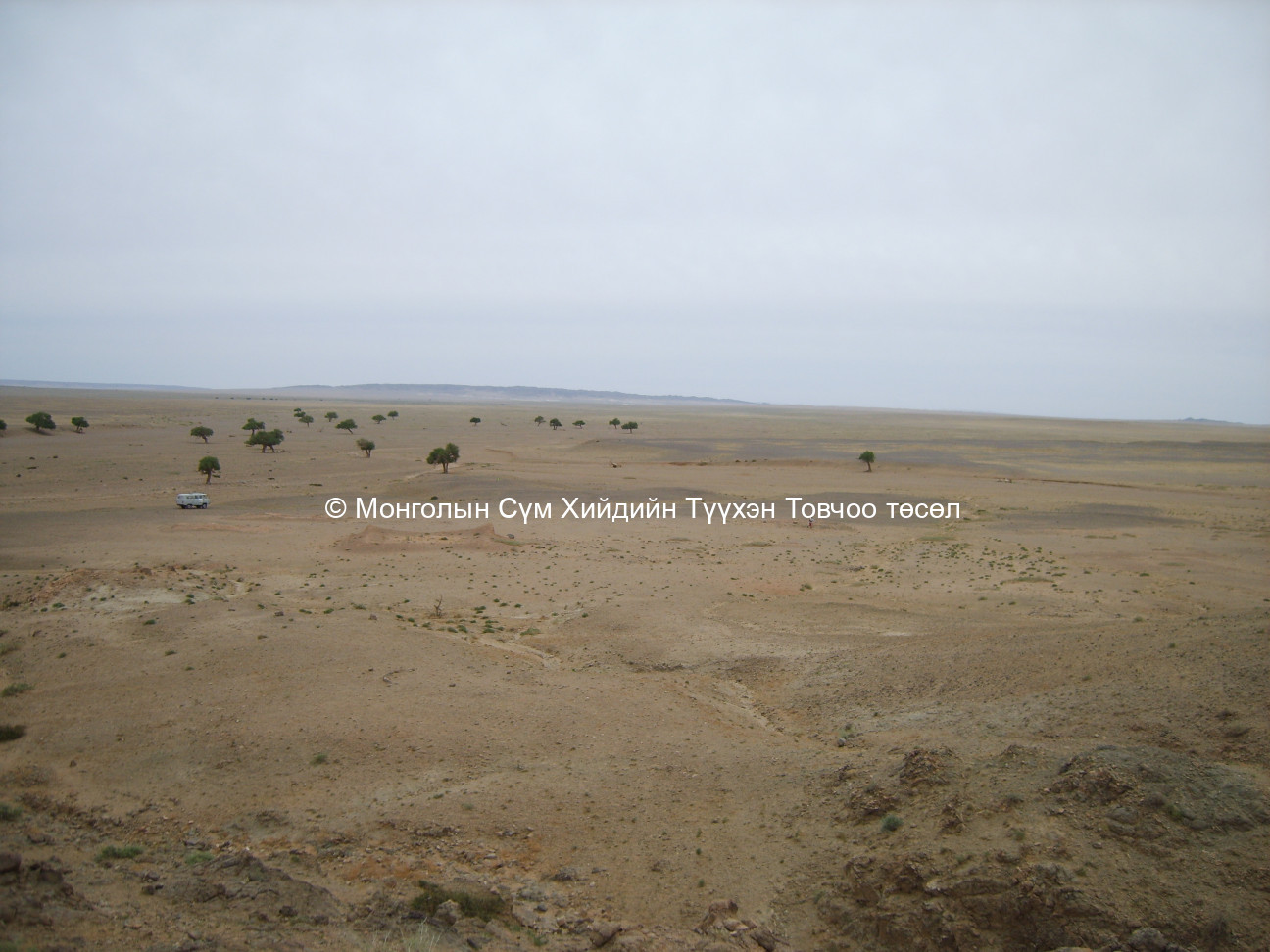 Хойд талаас авсан